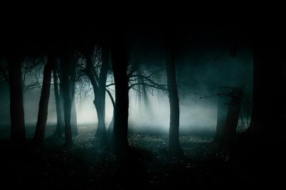 hutan-malam.jpg